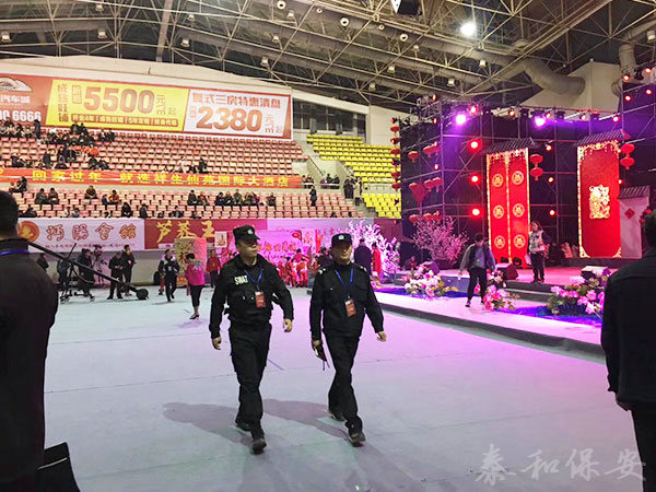 广东泰和世纪保安服务有限公司湖南分公司,广东常规人力保安服务,高端人防服务,商务特保哪里好