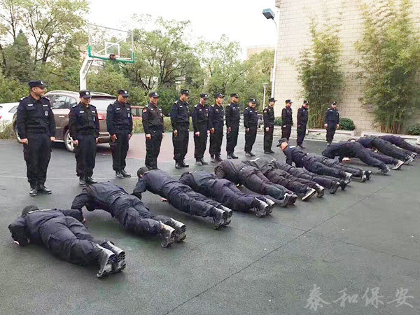 广东泰和世纪保安服务有限公司湖南分公司,广东常规人力保安服务,高端人防服务,商务特保哪里好