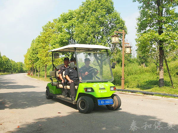 广东泰和世纪保安服务有限公司湖南分公司,广东常规人力保安服务,高端人防服务,商务特保哪里好