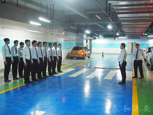 广东泰和世纪保安服务有限公司湖南分公司,广东常规人力保安服务,高端人防服务,商务特保哪里好