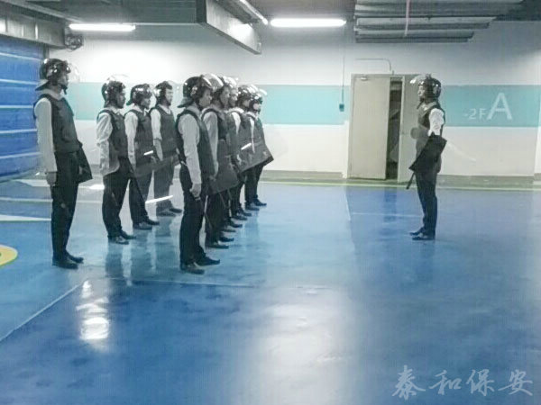 广东泰和世纪保安服务有限公司湖南分公司,广东常规人力保安服务,高端人防服务,商务特保哪里好