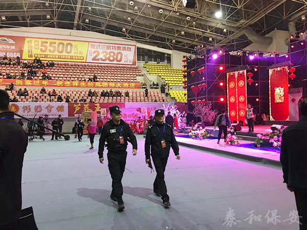 广东泰和世纪保安服务有限公司湖南分公司,广东常规人力保安服务,高端人防服务,商务特保哪里好