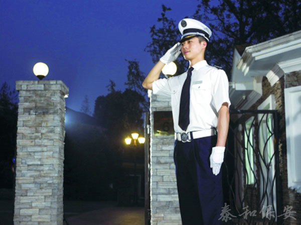 广东泰和世纪保安服务有限公司湖南分公司,广东常规人力保安服务,高端人防服务,商务特保哪里好