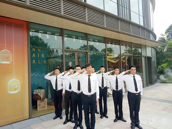 广东泰和世纪保安服务有限公司湖南分公司,广东常规人力保安服务,高端人防服务,商务特保哪里好