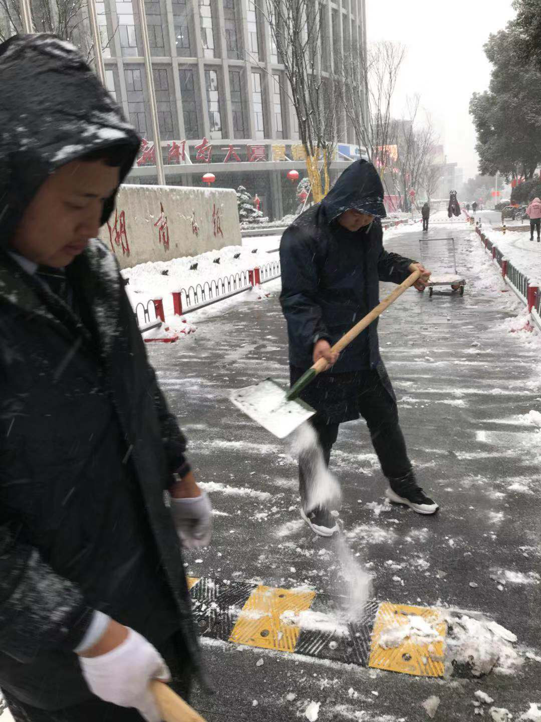 广东泰和世纪保安服务有限公司湖南分公司,广东常规人力保安服务,高端人防服务,商务特保哪里好