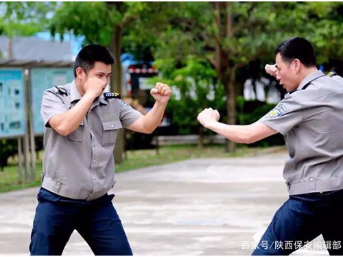 广东泰和世纪保安服务有限公司湖南分公司,广东常规人力保安服务,高端人防服务,商务特保哪里好